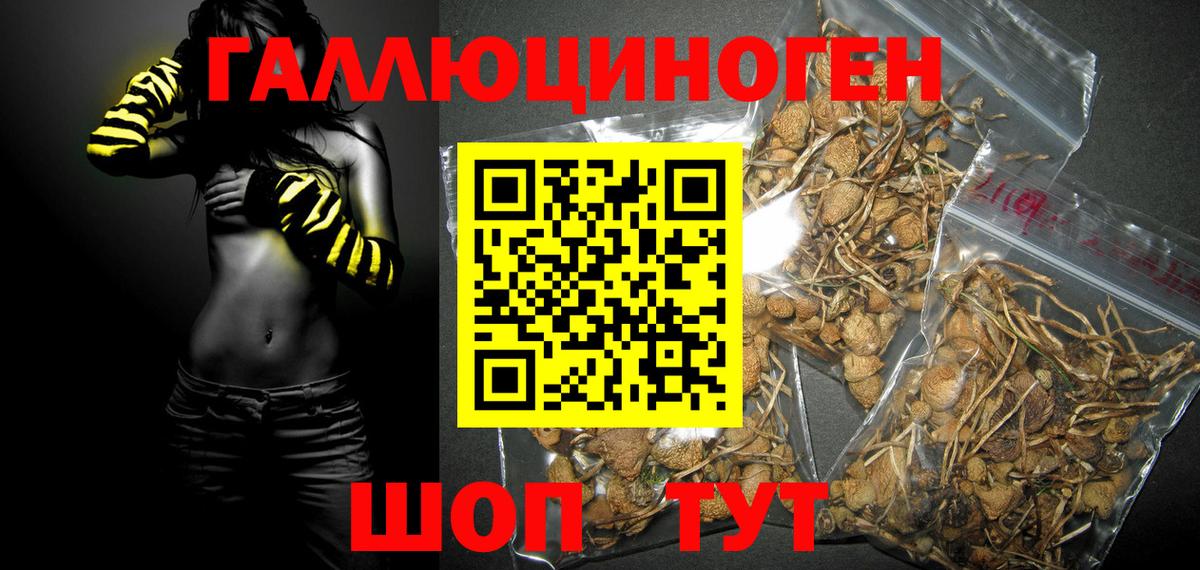 Галлюциногенные грибы Magic Shrooms  Вход с VPN  Саратов  Галлюциногенные грибы мицелий 
