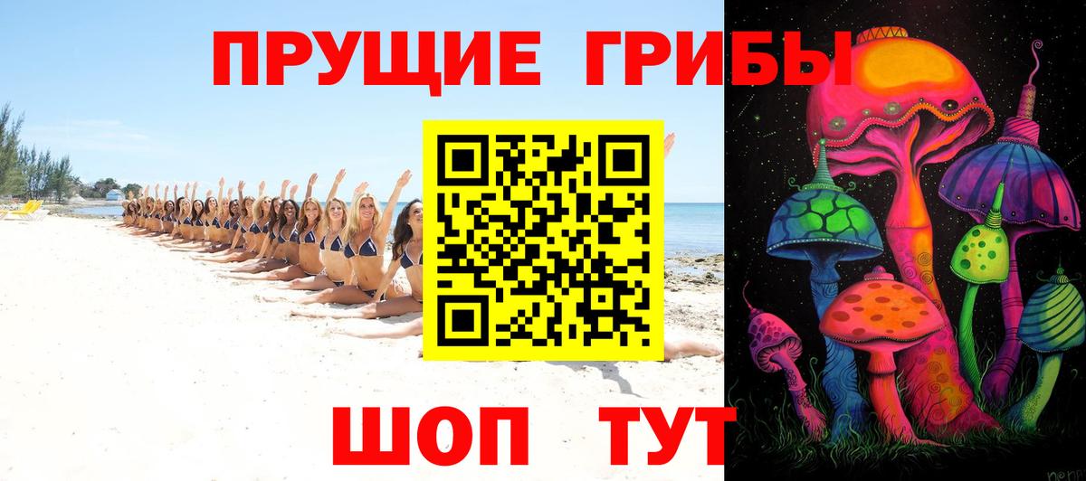 Псилоцибиновые грибы прущие грибы Саратов